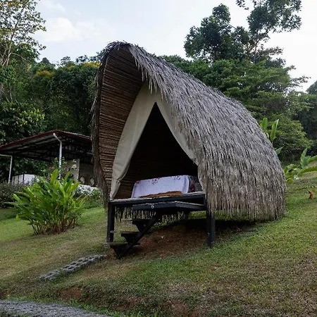 Esquipulas Rainforest Quepos Exterior photo