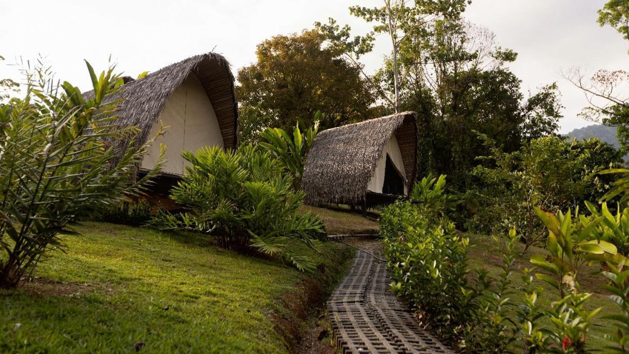 Farm stay Esquipulas Rainforest